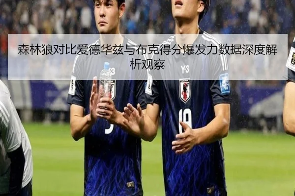 森林狼对比爱德华兹与布克得分爆发力数据深度解析观察